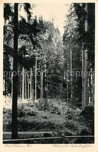 AK / Ansichtskarte Bad_Tabarz Waldpartie Blick auf den Aschenbergfelsen 