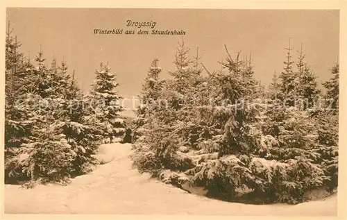 AK / Ansichtskarte Droyssig Winterbild aus dem Staudenhain Droyssig
