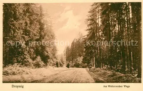 AK / Ansichtskarte Droyssig Wetterzeuber Weg Waldpartie Natur Droyssig