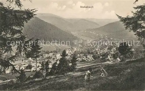 AK / Ansichtskarte Manebach Landschaftspanorama Manebach
