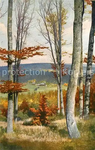 AK / Ansichtskarte Rehefeld Zaunhaus Blick vom Hemmschuh gegen das Schloss Photochromie Serie I Rehefeld Zaunhaus