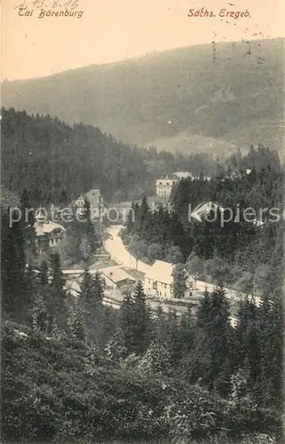 AK / Ansichtskarte Baerenburg_Sachsen Landschaftspanorama Blick ins Tal Baerenburg Sachsen