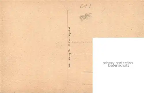 AK / Ansichtskarte Kipsdorf Panorama Blick vom Spitzberg Kipsdorf