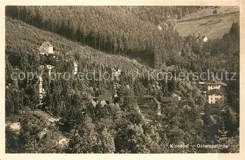 AK / Ansichtskarte Kipsdorf Teilansicht Kipsdorf