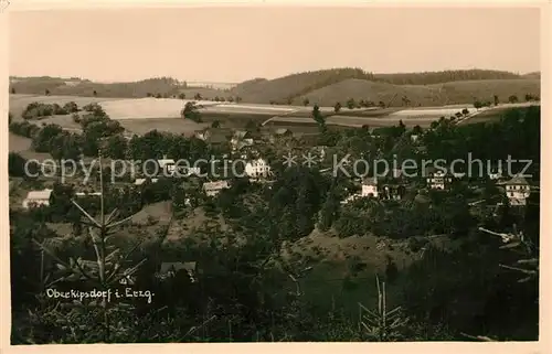 AK / Ansichtskarte Oberkipsdorf Panorama Oberkipsdorf