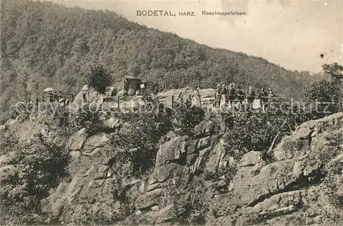 AK / Ansichtskarte Bodetal_Harz Rosstrappefelsen Bodetal Harz