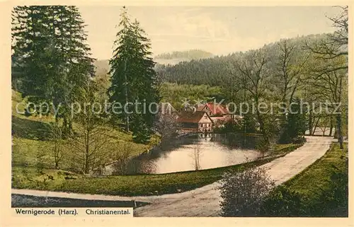 AK / Ansichtskarte Wernigerode_Harz Christianental Wernigerode Harz