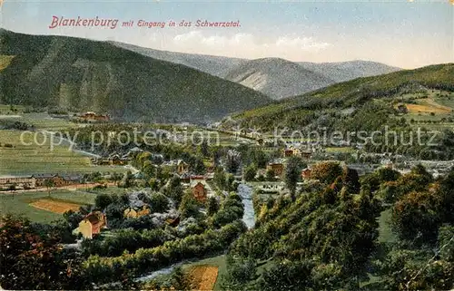 AK / Ansichtskarte Blankenburg_Harz Landschaftspanorama Eingang ins Schwarzatal Blankenburg_Harz
