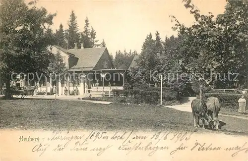 AK / Ansichtskarte Friedrichroda Heuberg Berggasthof Friedrichroda