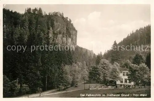 AK / Ansichtskarte Dietharz_Tambach Falkenstein im Dietharzer Grund Felsen Thueringer Wald Dietharz Tambach