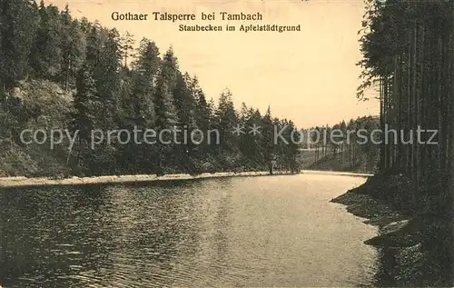 AK / Ansichtskarte Tambach Dietharz Gothaer Talsperre Staubecken im Apfelstaedtgrund Tambach Dietharz