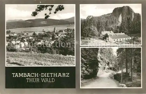 AK / Ansichtskarte Tambach Dietharz Panorama Felsen Waldpartie Thueringer Wald Tambach Dietharz