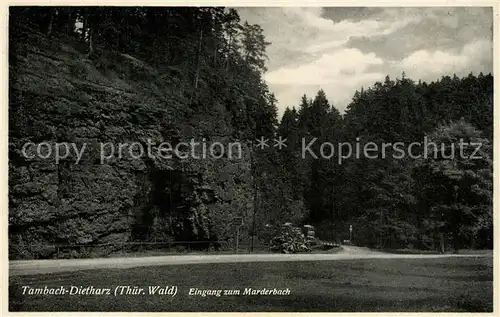 AK / Ansichtskarte Tambach Dietharz Eingang zum Marderbach Felsen Thueringer Wald Tambach Dietharz