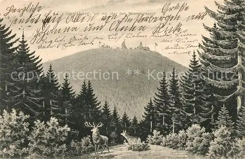 AK / Ansichtskarte Inselsberg_Schmalkalden Waldpartie Hirsch Blick zum Inselsberg Inselsberg Schmalkalden