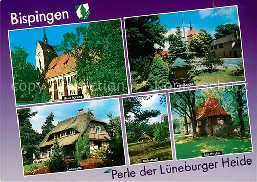 AK / Ansichtskarte Bispingen Kirche Lesehalle Schafstall Bispingen