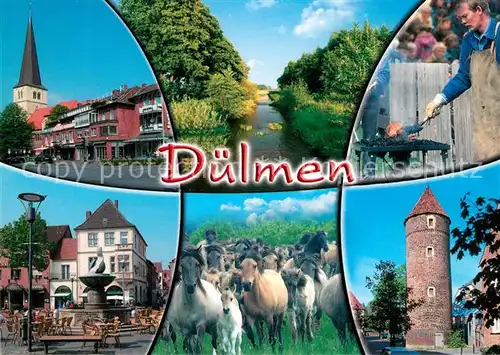 AK / Ansichtskarte Duelmen Brunnen Turm Grillplatz Pferde Marktplatz Duelmen