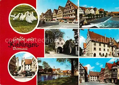 AK / Ansichtskarte Riedlingen_Donau Fachwerkhaeuser Brunnen Stadttor Riedlingen Donau