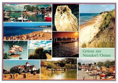 AK / Ansichtskarte Niendorf_Ostseebad Hafen Duenen Flamingo Steilkueste Niendorf_Ostseebad