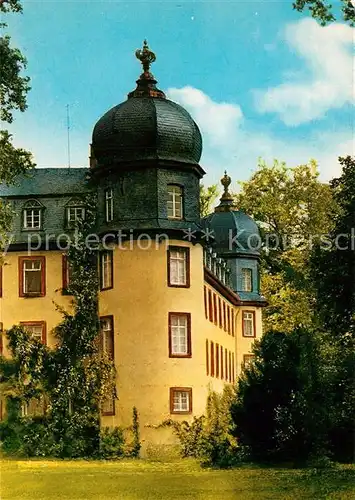 AK / Ansichtskarte Lich_Hessen Schloss Lich Hessen