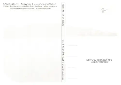 AK / Ansichtskarte Tholey_Theley Gesichterbaum Mittelalterlicher Rundturm Schaumbergturm Tholey_Theley