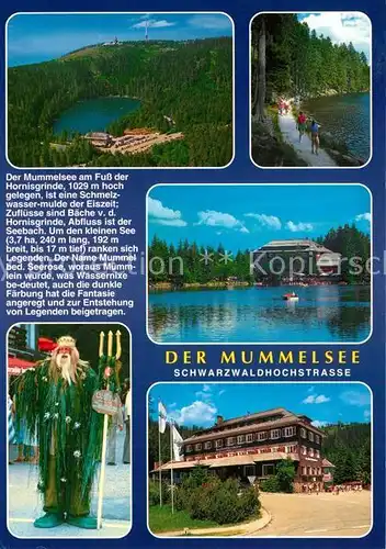 AK / Ansichtskarte Mummelsee Fliegeraufnahme Seepartie Neptun Hotel Mummelsee