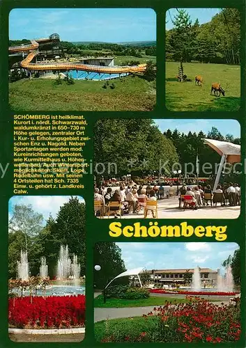 AK / Ansichtskarte Schoemberg_Schwarzwald Schwimmbad Hirsche Kurkonzert Kurpark Fontaene Schoemberg Schwarzwald