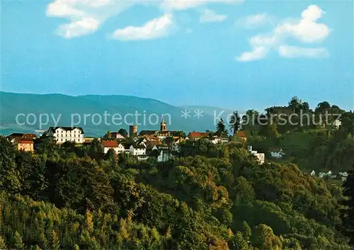 AK / Ansichtskarte Lindenfels_Odenwald Panorama Lindenfels Odenwald