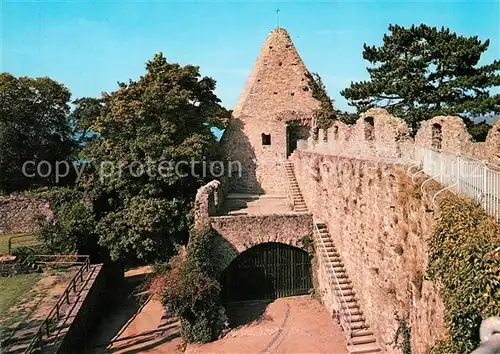 AK / Ansichtskarte Lindenfels_Odenwald Im Burghof Lindenfels Odenwald