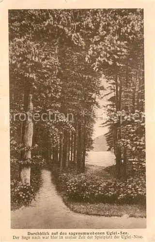 AK / Ansichtskarte Uglei_See Durchblick zum See Sage Uglei_See
