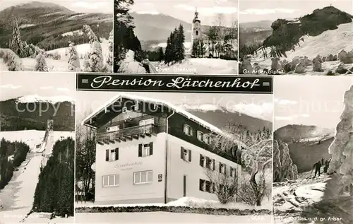 AK / Ansichtskarte Bayerisch_Eisenstein Pension Laerchenhof Bayerisch_Eisenstein