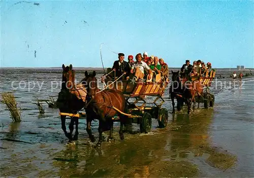 AK / Ansichtskarte Cuxhaven_Doese_Nordseebad mit Waldbad Sahlenburg Wattwagen auf der Fahrt zur Insel Neuwerk Cuxhaven_Doese_Nordseebad
