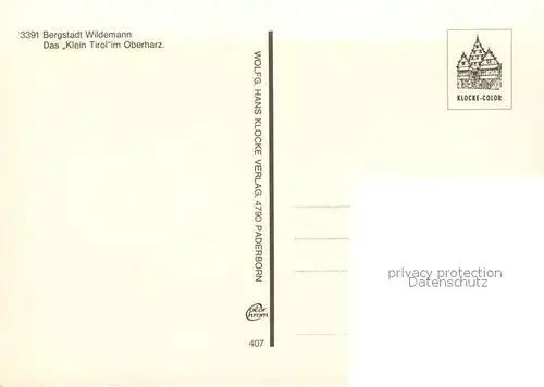 AK / Ansichtskarte Wildemann Das Klein Tirol im Oberharz Panorama Wildemann
