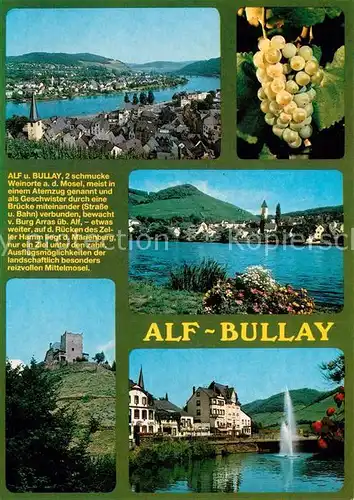 AK / Ansichtskarte Alf_Bullay_Mosel Panorama Moselpartien Burgruine Alf_Bullay_Mosel