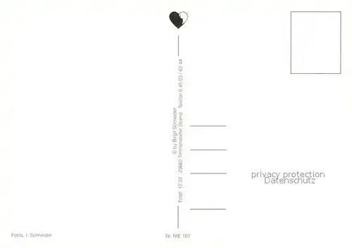 AK / Ansichtskarte Niendorf_Ostseebad Hafen Strand Promenade Niendorf_Ostseebad