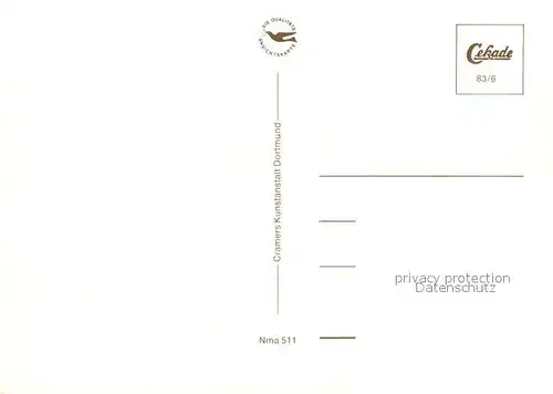 AK / Ansichtskarte Neumarkt_Oberpfalz Wolfstein Rathaus Pfalzgrafenschloss Hofkirche und Reitstadel Neumarkt Oberpfalz