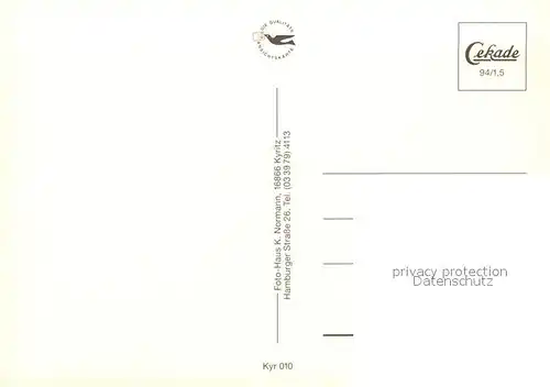 AK / Ansichtskarte Kyritz_Brandenburg St Marien Kirche Marktplatz Rathaus mit Friedenseiche von 1814 Kyritz Brandenburg