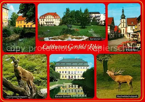 AK / Ansichtskarte Gersfeld_Rhoen Fulda Bruecke Sanatorium Marktplatz Hochwildschutzpark Steinbock Hirsch Barock Schloss Gersfeld Rhoen