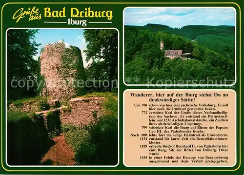 AK / Ansichtskarte Bad_Driburg Iburg Bad_Driburg