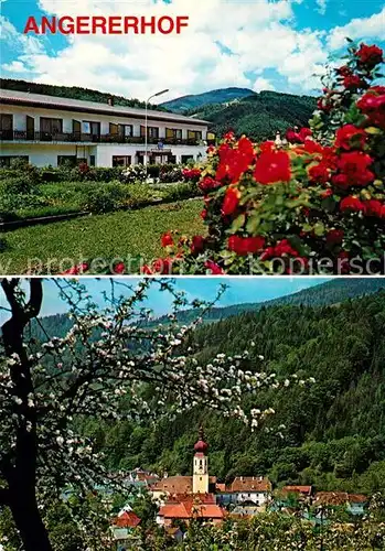 AK / Ansichtskarte Anger_Steiermark Gasthof Pension Angererhof Baumbluete Ortsmotiv mit Kirche Anger_Steiermark