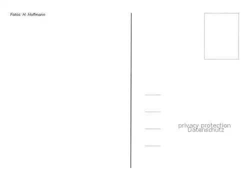 AK / Ansichtskarte Troeglitz Techwitz Gleina Stocksdorf Troeglitz
