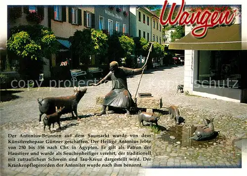 AK / Ansichtskarte Wangen_Allgaeu Antonius Brunnen Saumarkt Wangen Allgaeu