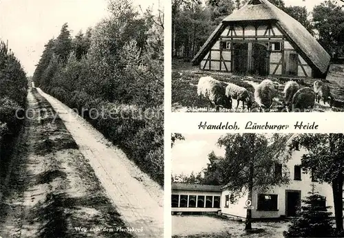 AK / Ansichtskarte Handeloh Schafstall Gasthaus Heidekrone Handeloh