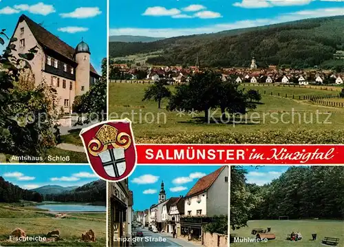 AK / Ansichtskarte Salmuenster_Bad_Soden Amtshaus Schloss Fischteich Muehlwiese Leipziger Strasse Landschaftspanorama Kinzigtal Salmuenster_Bad_Soden