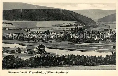 AK / Ansichtskarte Lippoldsberg Weserpartie Lippoldsberg