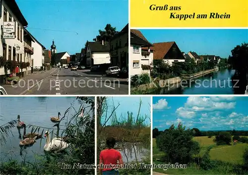 AK / Ansichtskarte Kappel Schwaene Taubergiessenfahrt Karl Kraemer Kappel