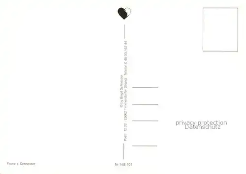 AK / Ansichtskarte Niendorf_Ostseebad  Niendorf_Ostseebad