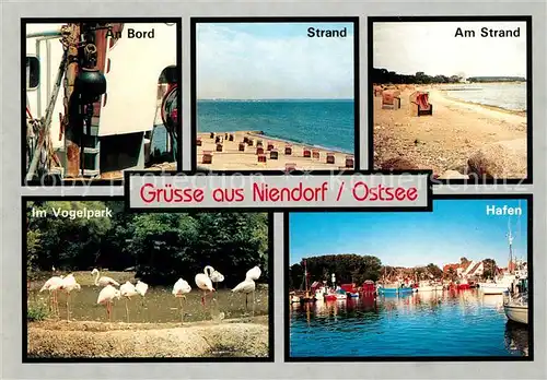 AK / Ansichtskarte Niendorf_Ostseebad Hafen An Bord Vogelpark Niendorf_Ostseebad