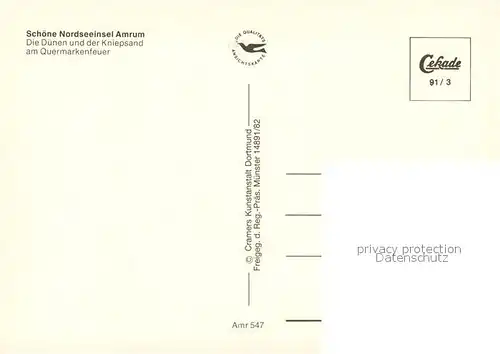 AK / Ansichtskarte Insel_Amrum Fliegeraufnahme mit Duenen und Kniepsand am Quermarkenfeuer Insel Amrum