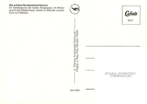 AK / Ansichtskarte Insel_Amrum Fliegeraufnahme mit Kniepsand und Leuchtturm von Wittduen Insel Amrum