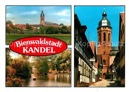 AK / Ansichtskarte Kandel_Pfalz Bienwaldstadt Kirche Schwanenteich Herbststimmung Kandel Pfalz